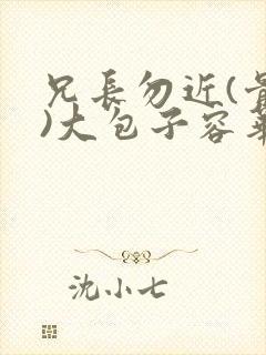 兄长勿近(骨科)大包子容华