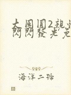 大团圆2亲情会闪闪发光免费