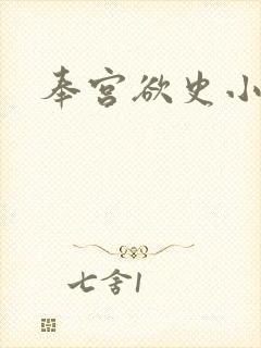 奉宫欲史小说封面