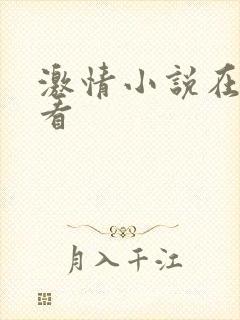 激情小说在线观看