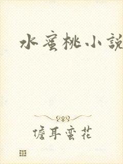 水蜜桃小说