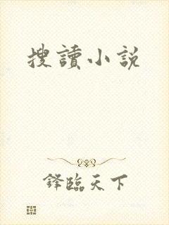 搜读小说