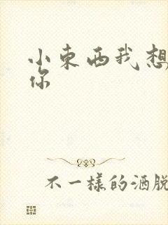 小东西我想弄坏你