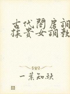 古代闺房调教h揉贵女调教记
