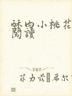 酥肉小桃花全文阅读