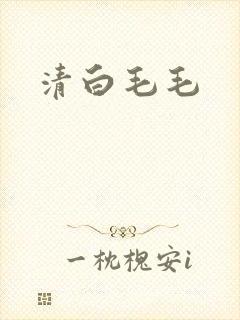 清白毛毛