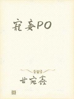 宠妾PO封面