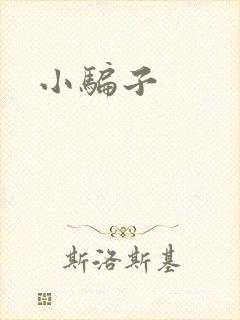 小骗子