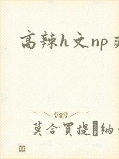 高辣h文np爽
