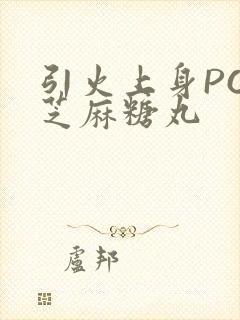 引火上身POP芝麻糖丸