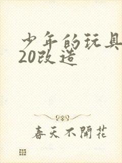 少年的玩具1一20改造