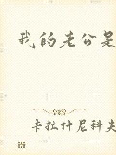 我的老公是只狗封面