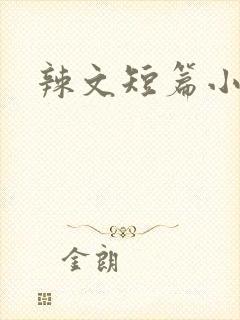 辣文短篇小说