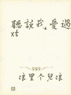 听说我爱过你txt