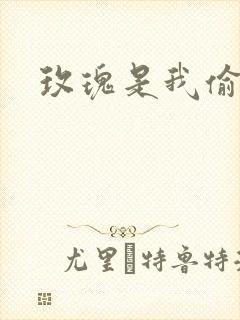 玫瑰是我偷的