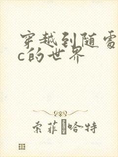 穿越到随处可以c的世界