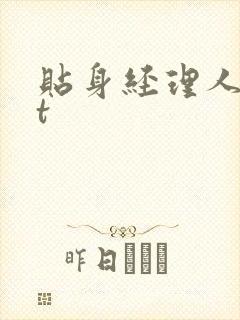 贴身经理人txt