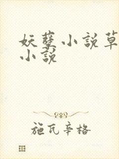 妖孽小说草莓酱小说