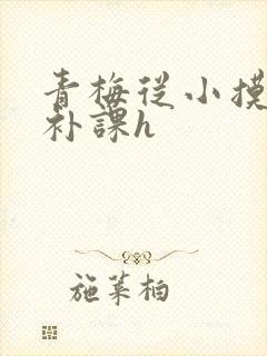 青梅从小摸到大补课h