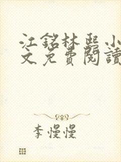 江铭林熙小说全文免费阅读封面