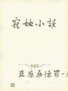 宠她小说封面