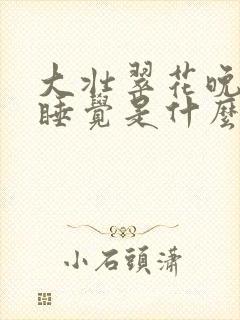 大壮翠花晚上不睡觉是什么电视剧封面