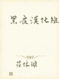 黑夜汉化组