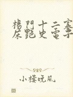 杨门十二寡妇肉床艳史电子书封面