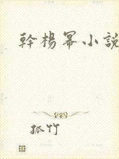 干杨幂小说