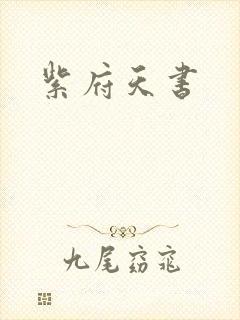 紫府天书