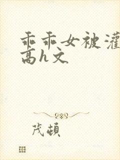 乖乖女被灌满精高h文