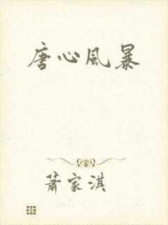 唐心风暴