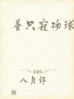 养只宠物球