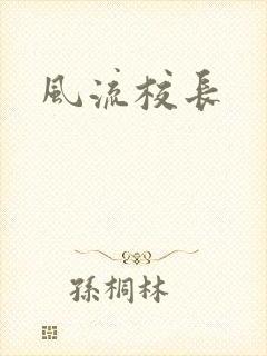 风流校长封面