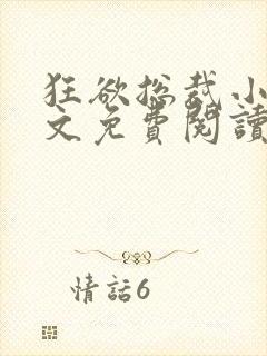 狂欲总裁小说全文免费阅读