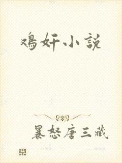 鸡奸小说