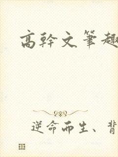 高干文笔趣阁封面