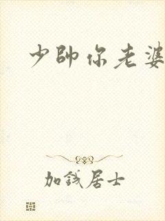 少帅你老婆封面