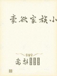 豪欲家族小说