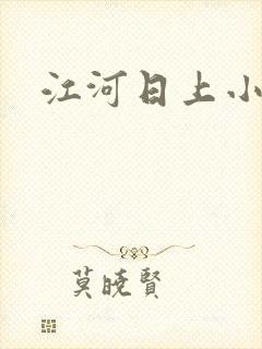 江河日上小说封面