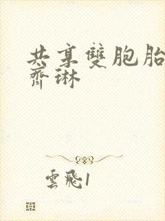共享双胞胎齐娜齐琳封面