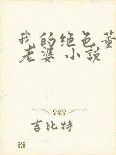 我的绝色董事长老婆 小说