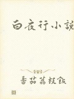 白夜行小说下载