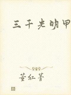 三千光明甲