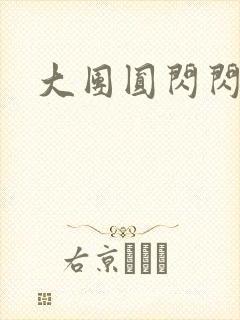 大团圆闪闪发光