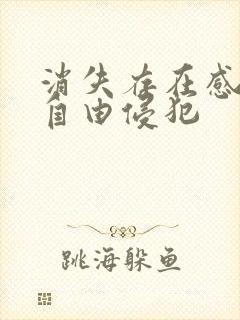 消失存在感消失自由侵犯
