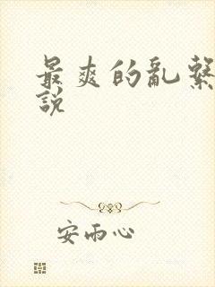 最爽的乱系列小说