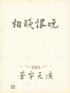 相贱恨晚封面