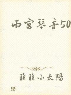 雨宫琴音500