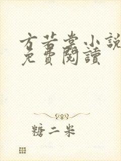 方若棠小说全文免费阅读封面